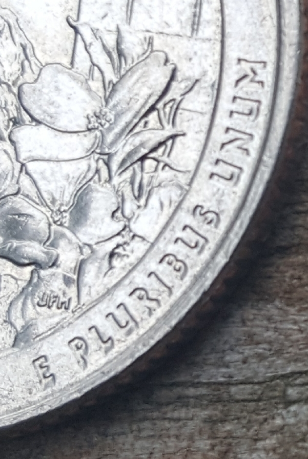 2015-North-Carolina-DD-Quarter-I-Think!?